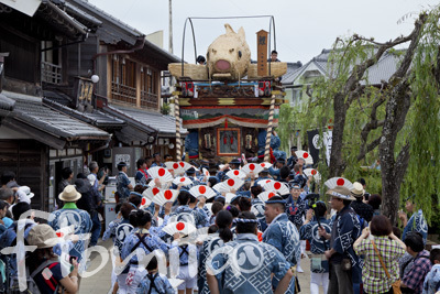 佐原の大祭3.jpg