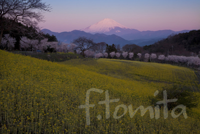 富士山朝焼け.jpg