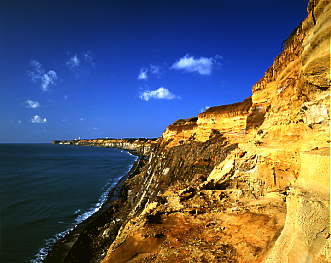 0107-1.jpg
