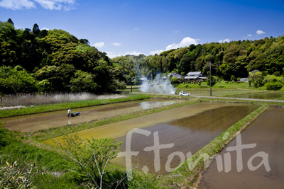 1B田植え風景.jpg