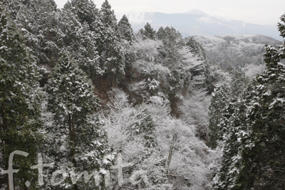 阿蘇の雪景色
