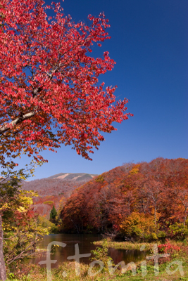 月山