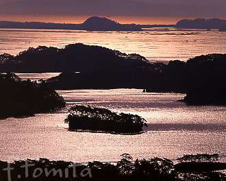 松島.