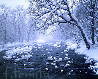 雪の渓流.