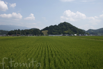 長谷堂城跡.