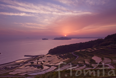 土田の棚田
