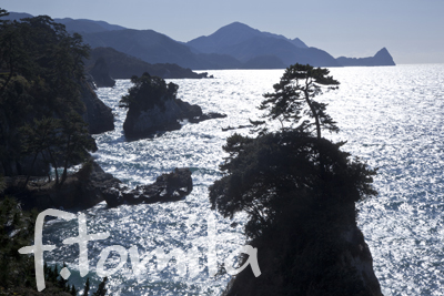 光る海堂が島