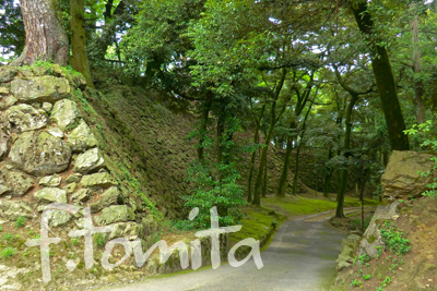 唐沢山城跡