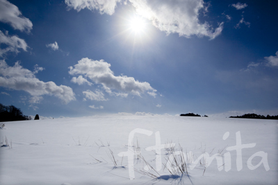 雪渡り