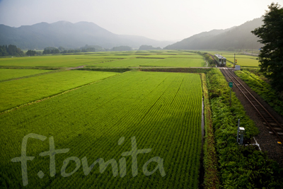 B3朝の田園を走る花輪線_秋田県大館市.jpg
