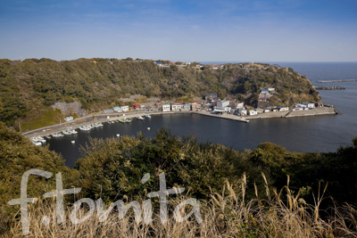B伊豆大島.jpg