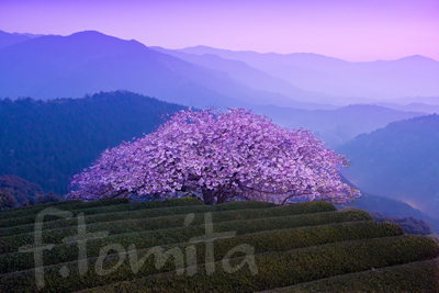 B四季の風景.jpg