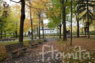 B庭園2.jpg