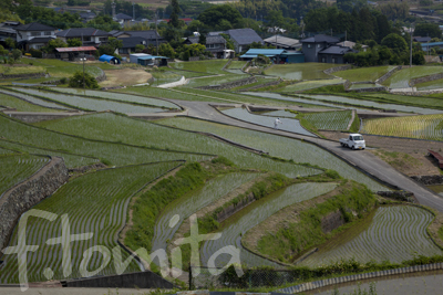 B棚田.jpg