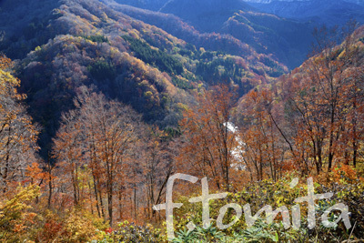 B2晩秋、秋山郷_新潟県.jpg