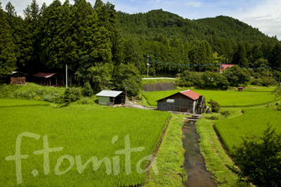 B2水車小屋のある水田風景_栃木県日光市.jpg