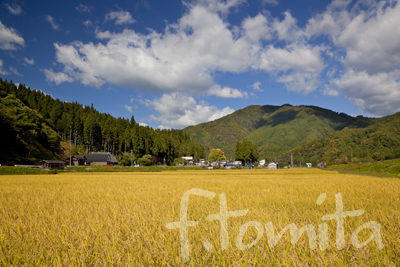 B4田園風景.jpg